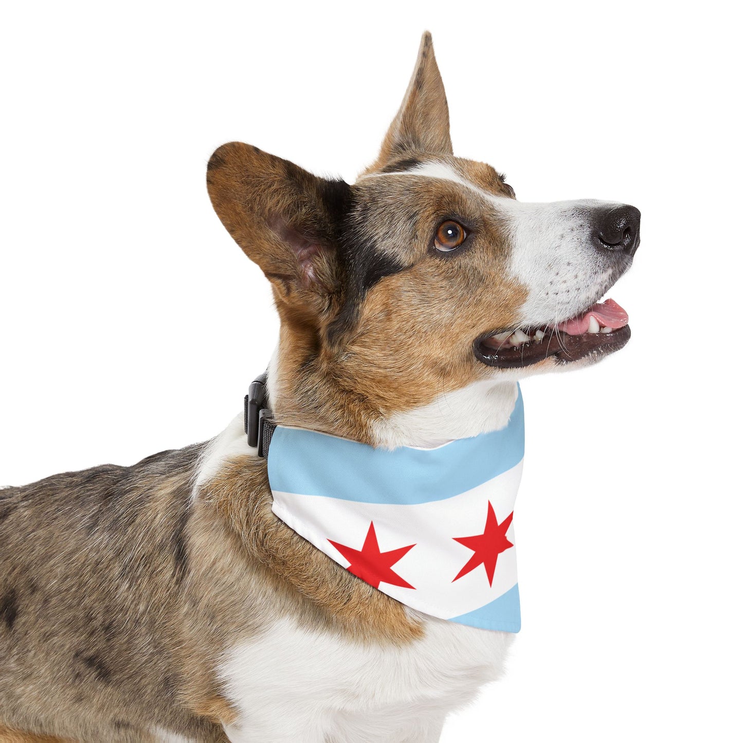 Pet Bandana Collar: Chicago Flag Pet Collar Bandana