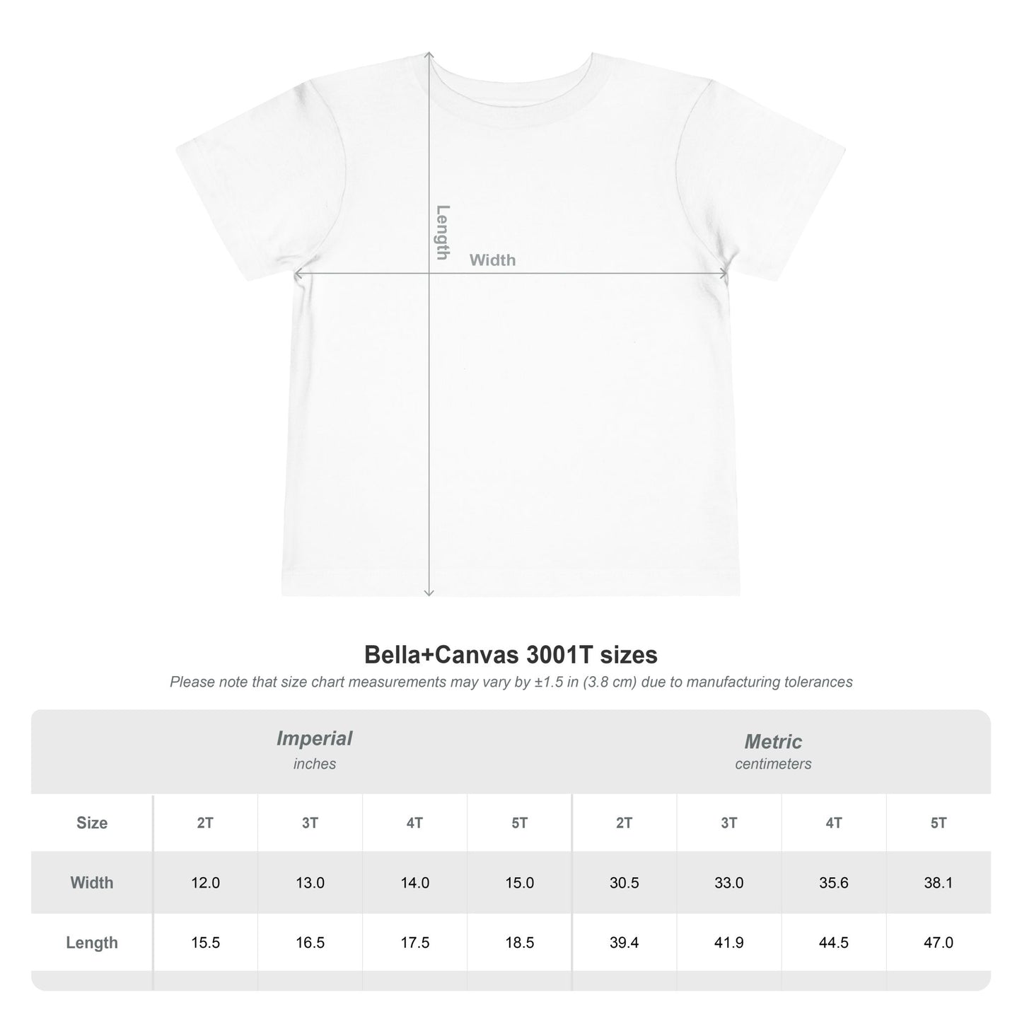A Chicago Tradition - 16‑Inch Softball Tee - Toddler T-Shirt - Sizes 2T-5T